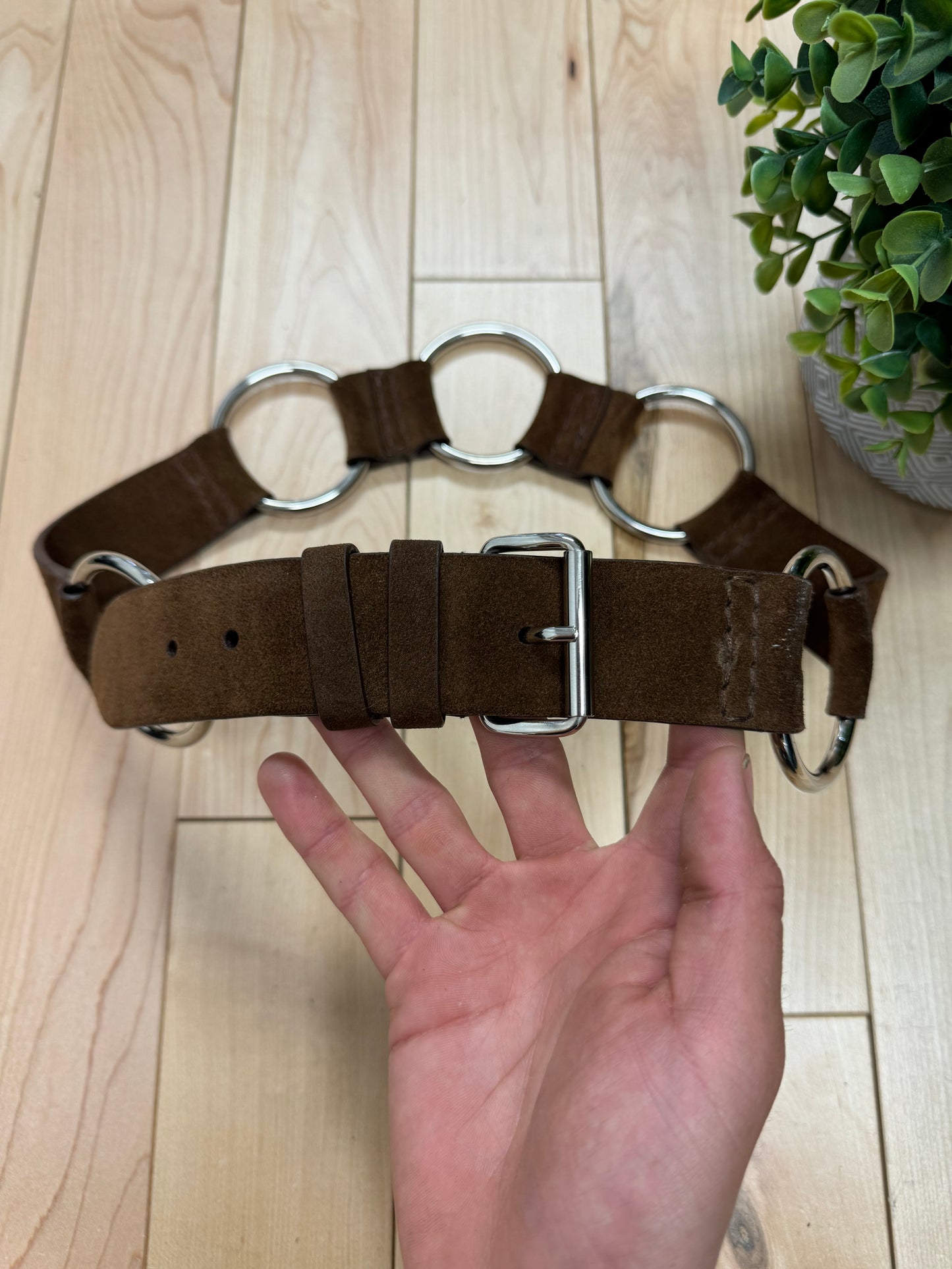 Miu Miu Brown Suede Silver ‘Hoop’ Belt