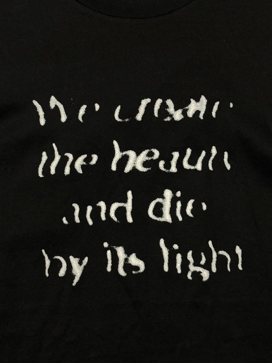 AW2010 Dior Homme ‘We Create the Beauty & Die by its Light’ Graphic T-Shirt