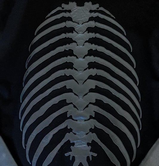 AW2013 Undercover Anatomicouture Spine Leather Jacket