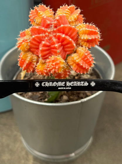 Chrome Hearts ‘Crypdic’ 925 Silver Cross Prescription Frames