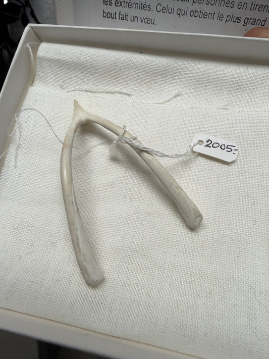 2005 Maison Martin Margiela Painted White ‘Wishbone’ Friends and Family Gift