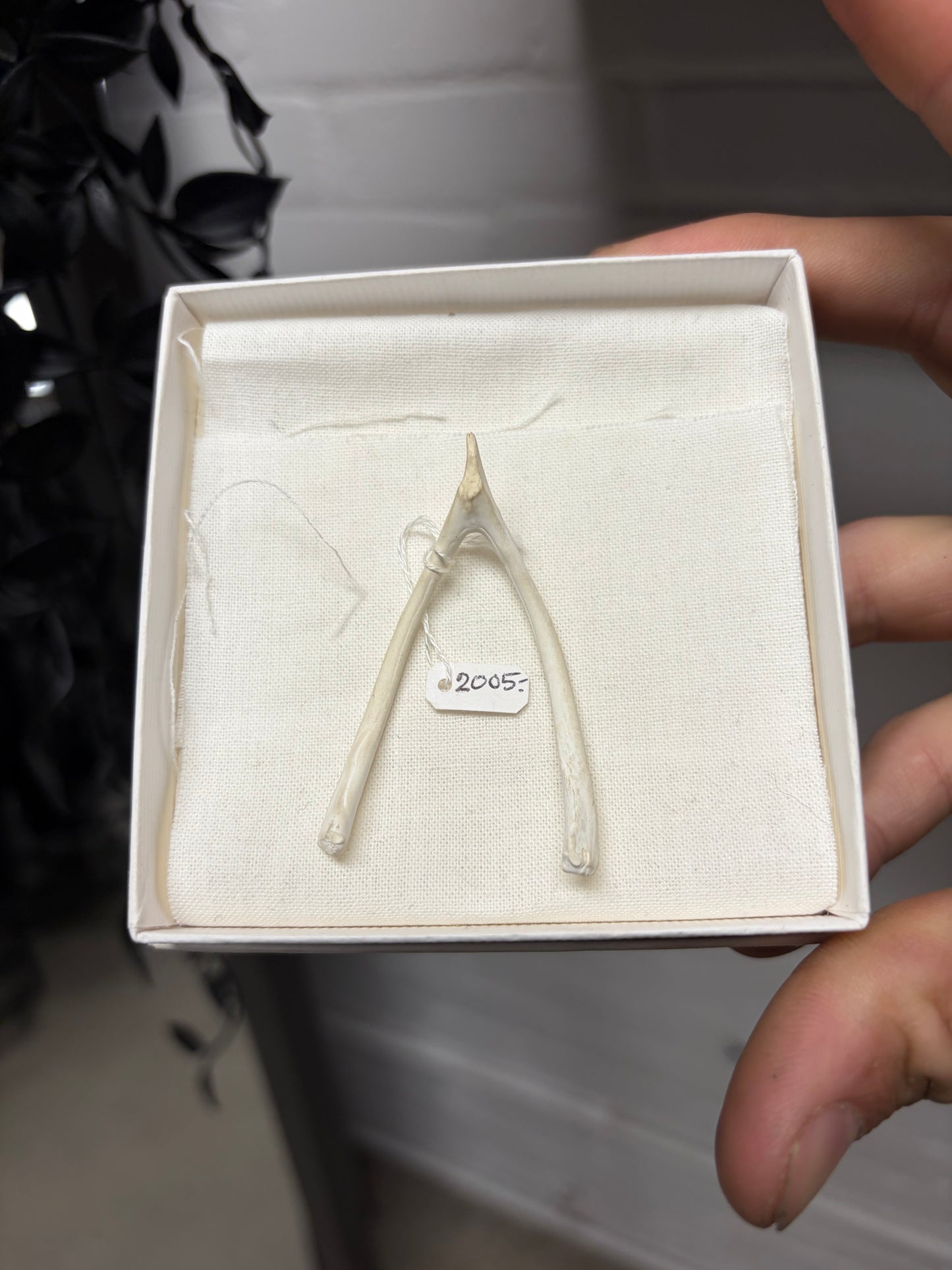 2005 Maison Martin Margiela Painted White ‘Wishbone’ Friends and Family Gift