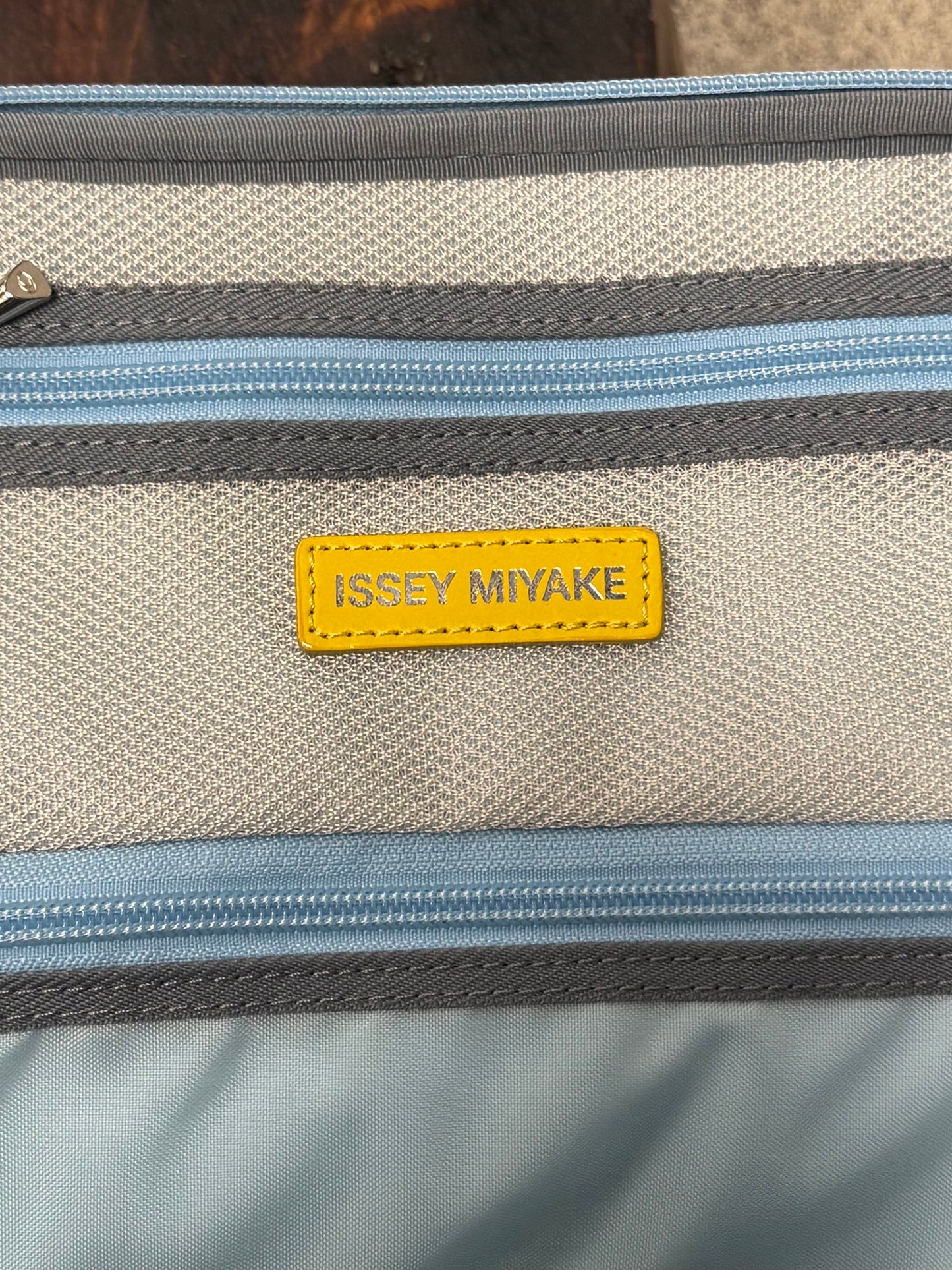 AW2004 Issey Miyake x Aya Takano Roller Suitcase