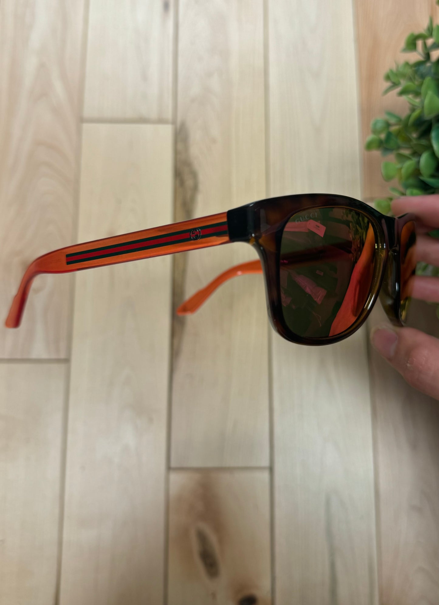 Gucci Red Tint Translucent Frame Sunglasses