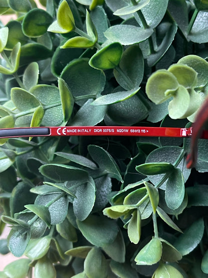 Spring Summer 2007 Dior Homme Aviator Sunglasses