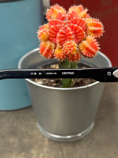 Chrome Hearts ‘Crypdic’ 925 Silver Cross Prescription Frames