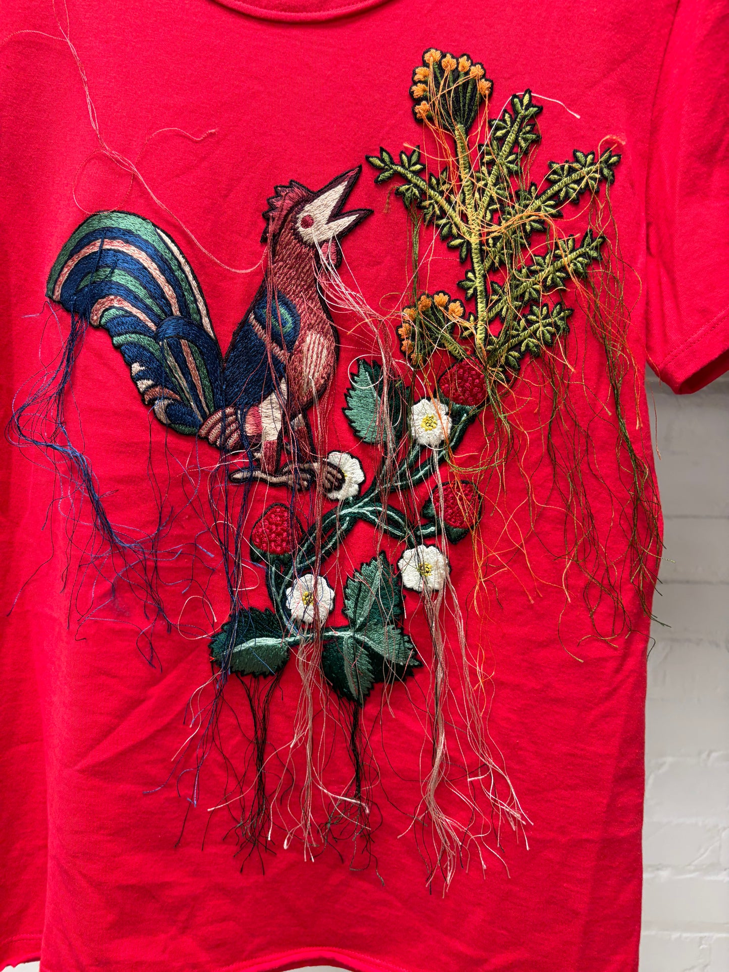 Alexander McQueen ‘Bird of Paradise’ Fringe Embroidered Red Short Sleeve T-Shirt