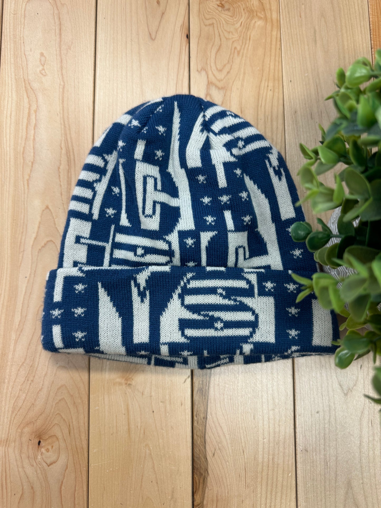 Hysteric Glamour Blue/White Flag Beanie