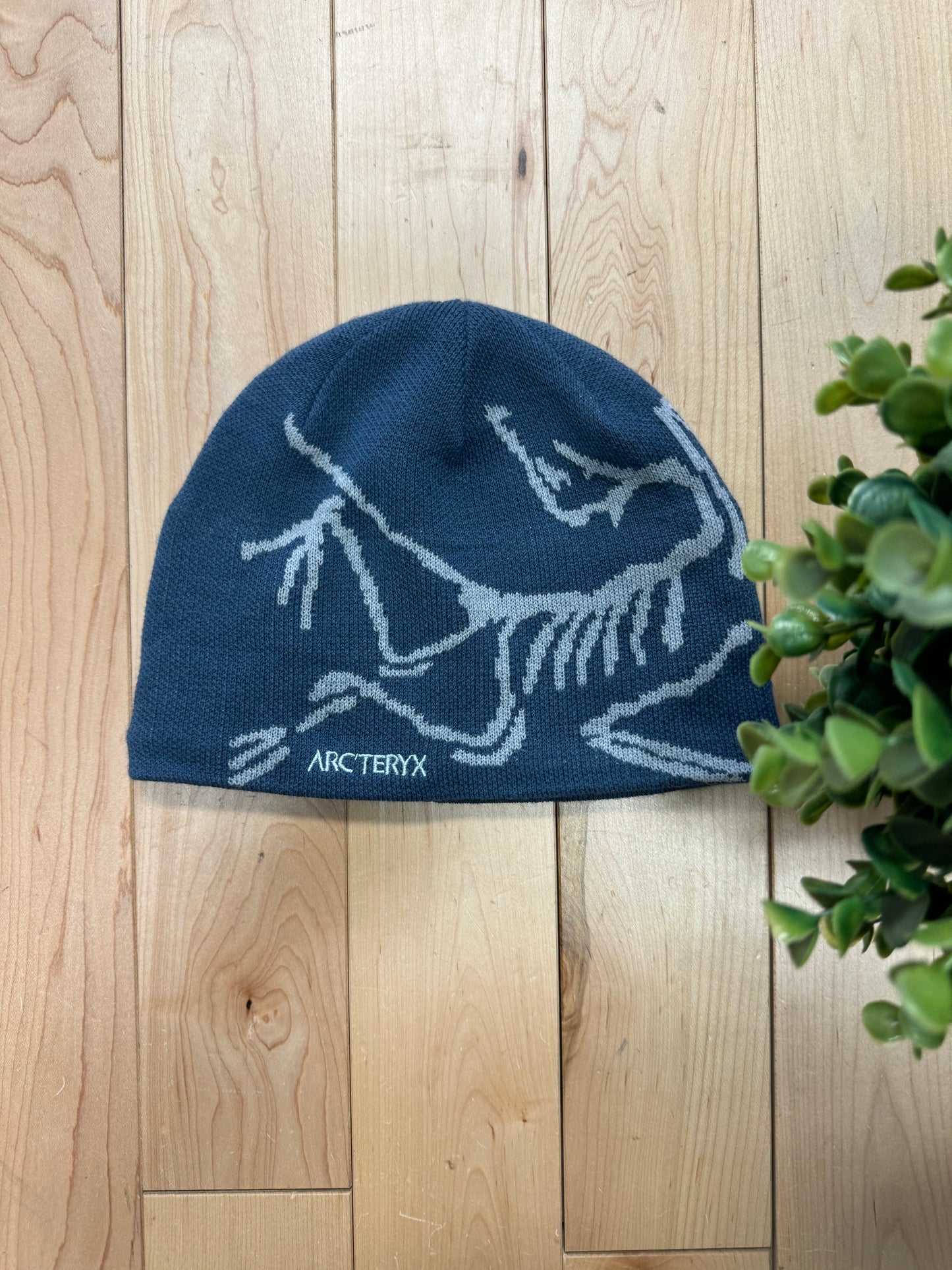 Arc’teryx ’Bird Head’ Logo Beanie