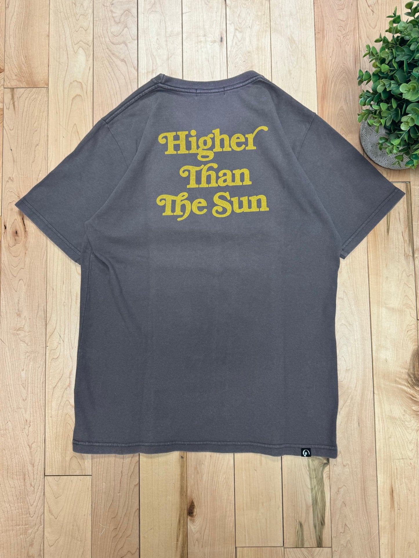 Hysteric Glamour ‘Higher Than The Sun’ Faded Brown T-Shirt