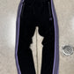 Needles Black/Purple Velour Striped Track Pants