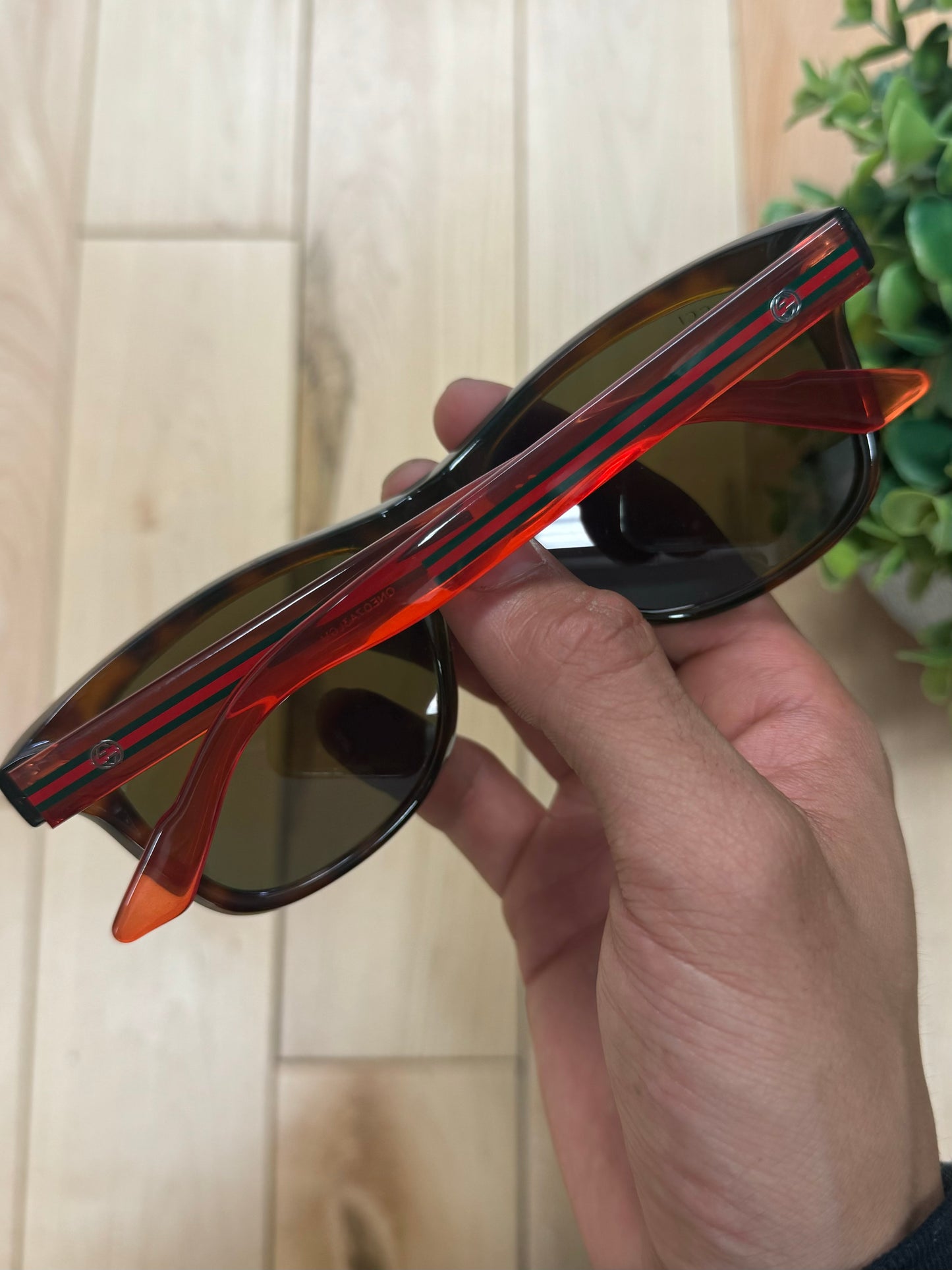 Gucci Red Tint Translucent Frame Sunglasses