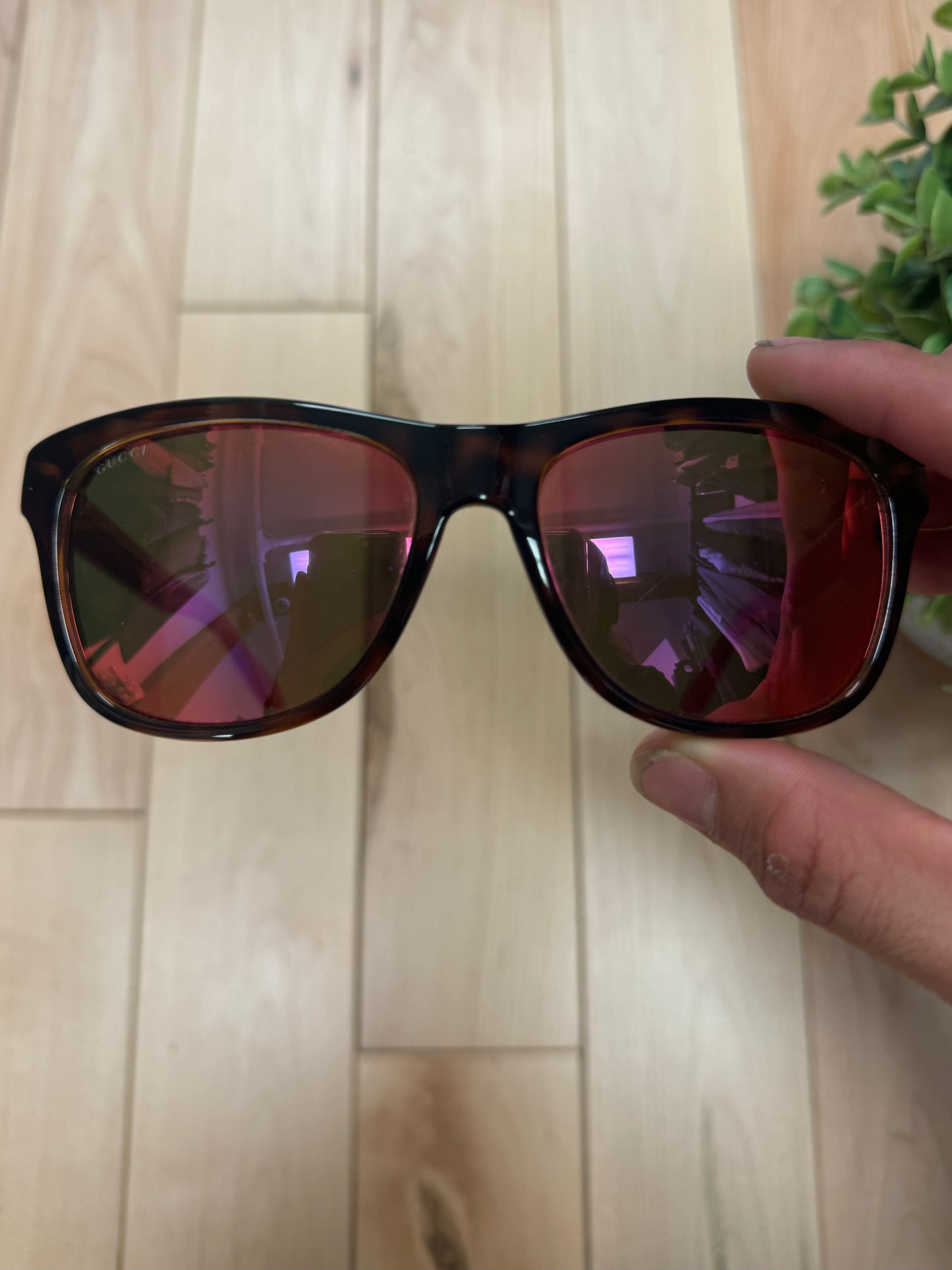 Gucci Red Tint Translucent Frame Sunglasses