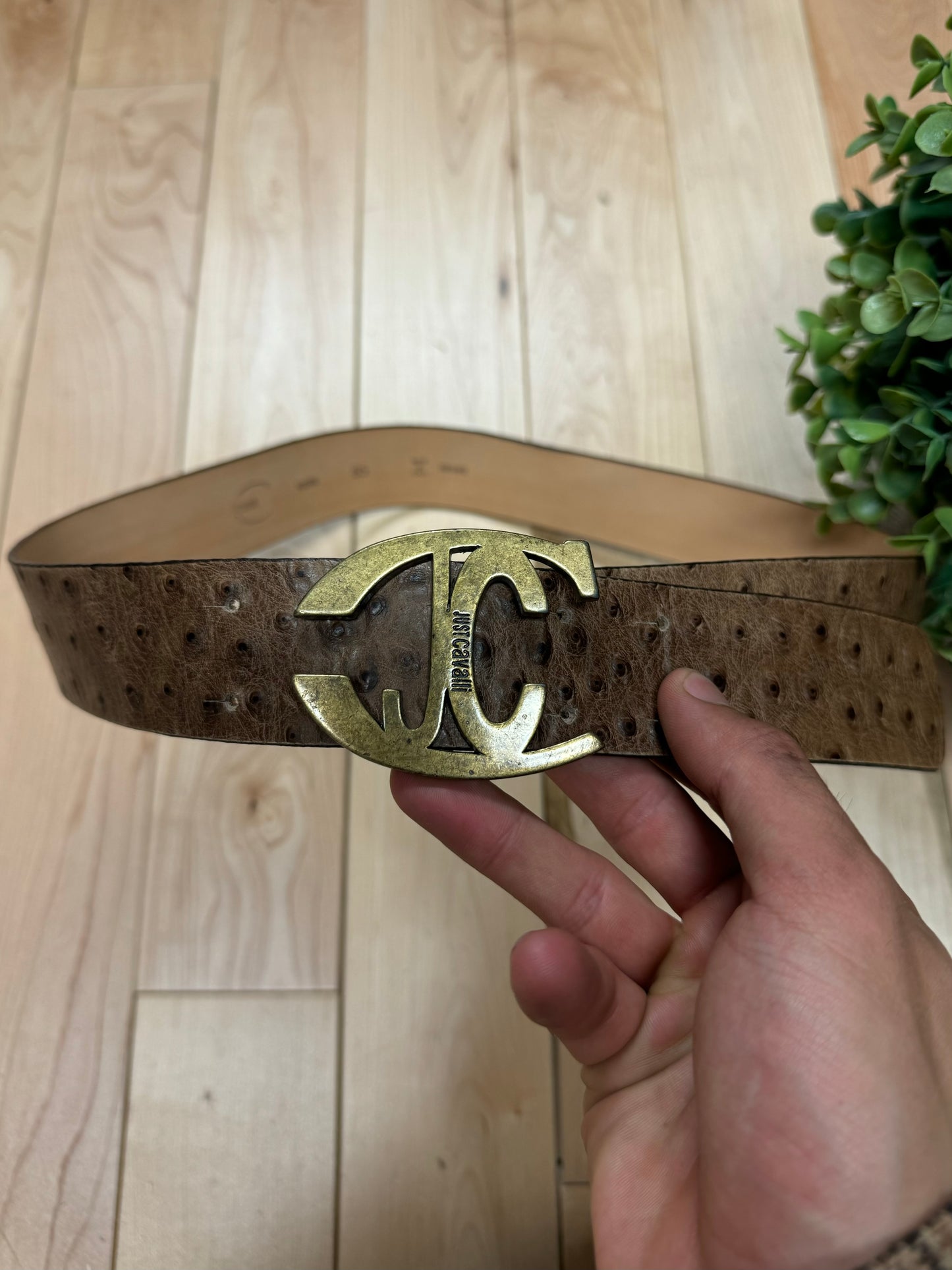 2000s Roberto Cavalli Brown Leather Belt