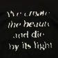 AW2010 Dior Homme ‘We Create the Beauty & Die by its Light’ Graphic T-Shirt