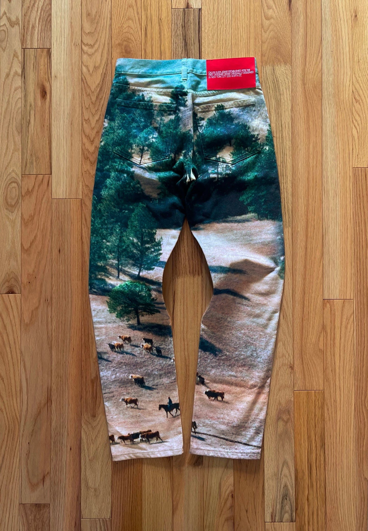 SS2019 CK205W39Nyc Calvin Klein Raf Simons Landscape Denim